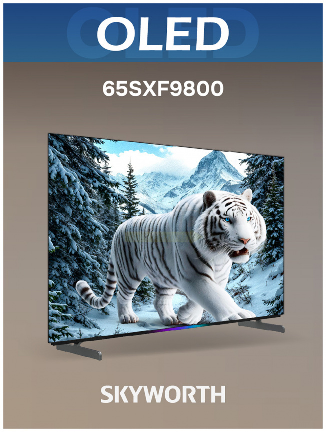 Телевизор Skyworth 65SXF9800 фото 10