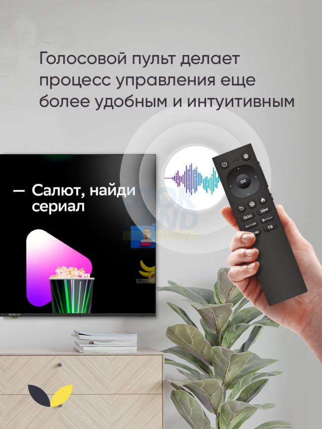 Телевизор Topdevice 24 TDHTV24SHD_BK фото 4