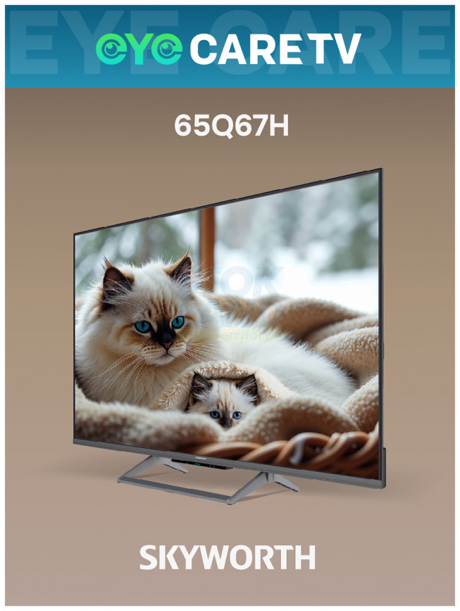 Телевизор Skyworth 65Q67H фото 12