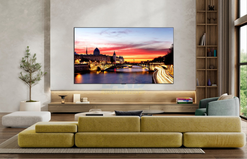 Телевизор LG OLED55C6RLA.ARUG фото 13